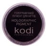 Голографический пигмент для ногтей 3гр Kodi №01  - фото №3